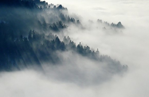 Klimatická inverze